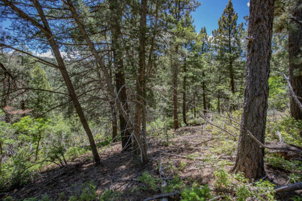 LOT6 HENRY SUMMIT DR, HIGH ROLLS MOUNTAIN PARK, NM 88325, photo 4 of 15