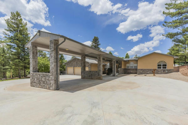 60 16 SPRINGS CANYON RD, CLOUDCROFT, NM 88317, photo 3 of 92