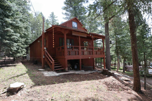 15 MYSTERY PATH, CLOUDCROFT, NM 88317 - Image 1