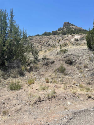 ROUND MOUNTAIN RD, BENT, NM 88314 - Image 1