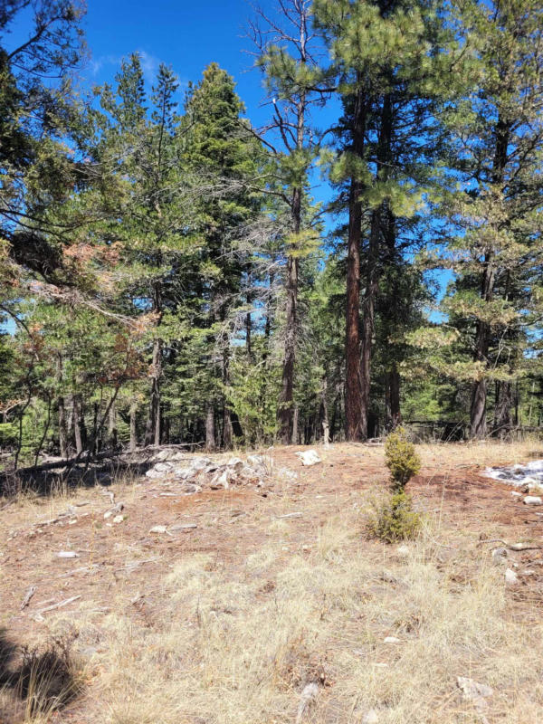 45 CLEAR SKY RD, CLOUDCROFT, NM 88317, photo 1 of 14