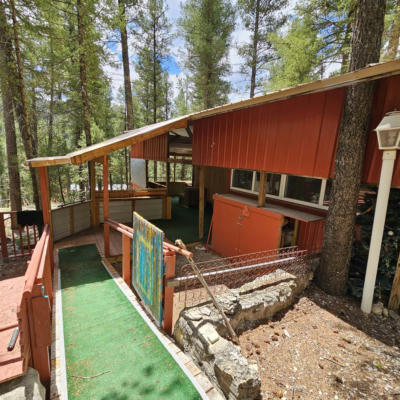 66 WILDWOOD, CLOUDCROFT, NM 88317, photo 3 of 29