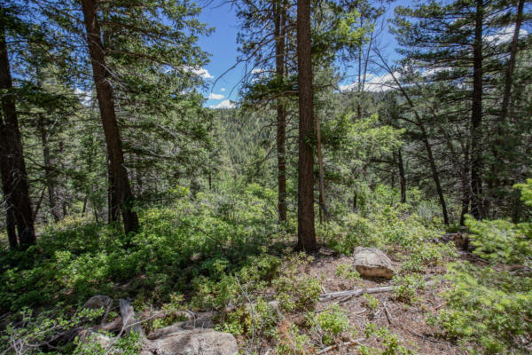LOT6 HENRY SUMMIT DR, HIGH ROLLS MOUNTAIN PARK, NM 88325, photo 3 of 15