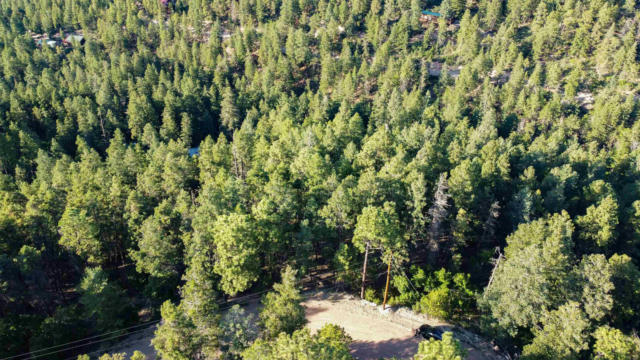 LOT4 HENRY SUMMIT DR, HIGH ROLLS MOUNTAIN PARK, NM 88325, photo 4 of 24