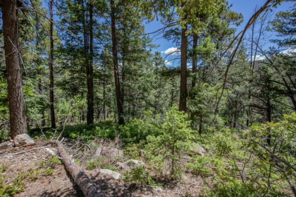 LOT6 HENRY SUMMIT DR, HIGH ROLLS MOUNTAIN PARK, NM 88325, photo 2 of 15