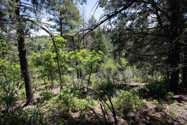 LOT6 HENRY SUMMIT DR, HIGH ROLLS MOUNTAIN PARK, NM 88325, photo 5 of 15
