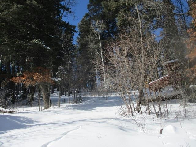 306 SHELLS LN, CLOUDCROFT, NM 88317, photo 1