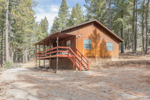 9 WHITE TAIL PL, MAYHILL, NM 88339 - Image 1