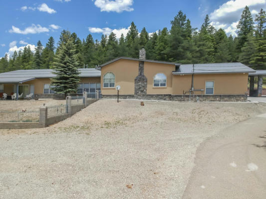 60 16 SPRINGS CANYON RD, CLOUDCROFT, NM 88317 - Image 1