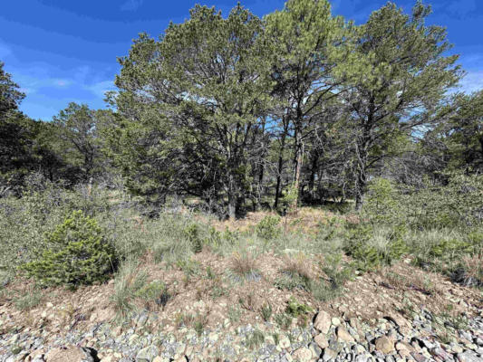 ELDRADO DR, TIMBERON, NM 88350 - Image 1